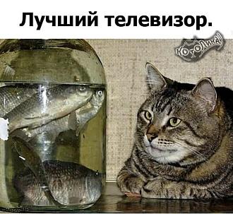 Нажмите на изображение для увеличения.

Название:	393487031_863410289118746_2171880087826532161_n.jpg
Просмотров:	1454
Размер:	85.2 Кб
ID:	4468379