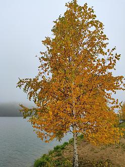 Нажмите на изображение для увеличения.

Название:	IMG_20231022_142152.jpg
Просмотров:	7281
Размер:	632.1 Кб
ID:	4468592