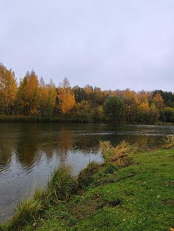 Нажмите на изображение для увеличения.

Название:	IMG_20231028_104634.jpg
Просмотров:	17279
Размер:	552.6 Кб
ID:	4468787