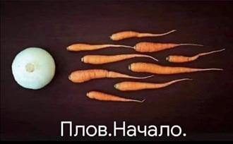 Нажмите на изображение для увеличения.

Название:	398302626_838095511653511_1610690221401749085_n.jpg
Просмотров:	1506
Размер:	97.6 Кб
ID:	4469616