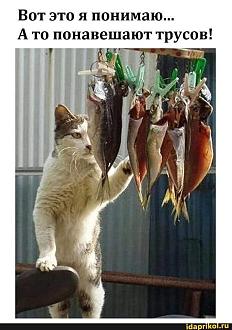 Нажмите на изображение для увеличения.

Название:	FB_IMG_1700291799078.jpg
Просмотров:	1740
Размер:	104.4 Кб
ID:	4469710