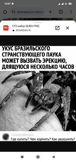 Нажмите на изображение для увеличения.

Название:	Screenshot_2023-11-26-15-07-45-874_com.android.chrome.jpg
Просмотров:	1390
Размер:	158.3 Кб
ID:	4470222