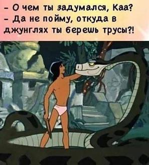 Нажмите на изображение для увеличения.

Название:	405826166_364603889428681_6722699350872510136_n.jpg
Просмотров:	1224
Размер:	122.1 Кб
ID:	4470303