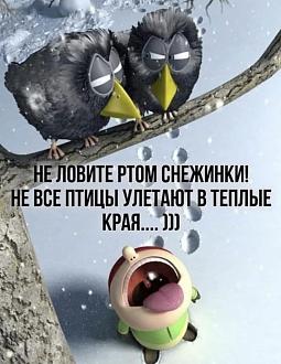 Нажмите на изображение для увеличения.  Название:	406041164_7008835222532531_6625535809641610289_n.jpg Просмотров:	0 Размер:	148.0 Кб ID:	4470558