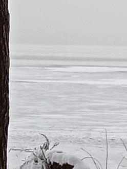 Нажмите на изображение для увеличения.

Название:	IMG_20231202_112735.jpg
Просмотров:	2497
Размер:	131.9 Кб
ID:	4470699