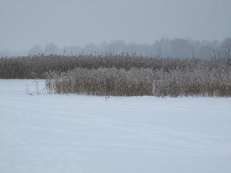 Нажмите на изображение для увеличения.  Название:	IMG_7831.JPG Просмотров:	0 Размер:	259.9 Кб ID:	4470746