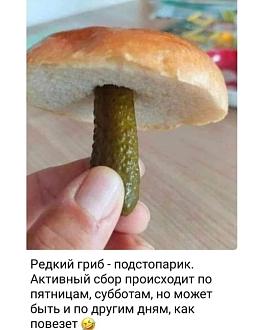 Нажмите на изображение для увеличения.

Название:	407384596_873090547652666_322135867623157467_n.jpg
Просмотров:	1766
Размер:	69.3 Кб
ID:	4470941