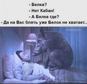 Нажмите на изображение для увеличения.

Название:	409387308_7192042074172214_6719851846136824454_n.jpg
Просмотров:	2007
Размер:	83.9 Кб
ID:	4471512