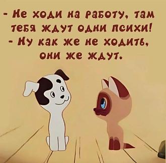 Нажмите на изображение для увеличения.

Название:	408149451_736182105208302_6930461306973183444_n.jpg
Просмотров:	1942
Размер:	80.4 Кб
ID:	4471514