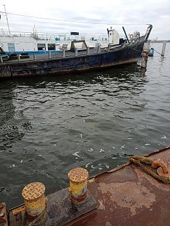 Нажмите на изображение для увеличения.

Название:	IMG20231214121353.jpg
Просмотров:	3294
Размер:	479.8 Кб
ID:	4471765