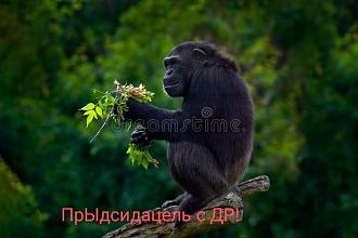 Нажмите на изображение для увеличения.

Название:	IMG_20231219_214627.jpg
Просмотров:	2524
Размер:	64.8 Кб
ID:	4488707