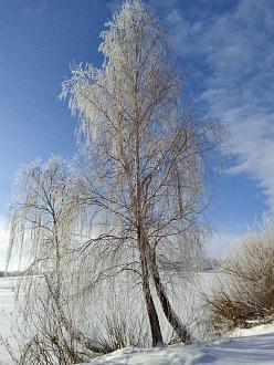 Нажмите на изображение для увеличения.  Название:	IMG_20240106_120529.jpg Просмотров:	0 Размер:	518.1 Кб ID:	4489776