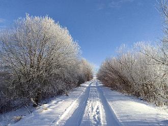Нажмите на изображение для увеличения.  Название:	IMG_20240106_120723.jpg Просмотров:	0 Размер:	505.5 Кб ID:	4489777