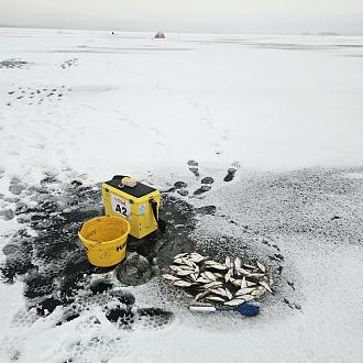 Нажмите на изображение для увеличения.

Название:	image_580069.jpg
Просмотров:	15876
Размер:	546.4 Кб
ID:	4489997