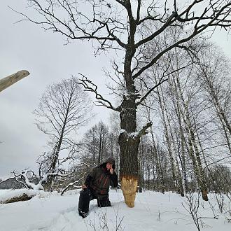 Нажмите на изображение для увеличения.

Название:	20240113_111239.jpg
Просмотров:	2185
Размер:	651.6 Кб
ID:	4490140