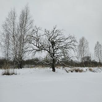 Нажмите на изображение для увеличения.

Название:	20240114_103638.jpg
Просмотров:	5548
Размер:	578.8 Кб
ID:	4490234