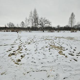 Нажмите на изображение для увеличения.

Название:	20240114_112412.jpg
Просмотров:	11830
Размер:	539.6 Кб
ID:	4490380