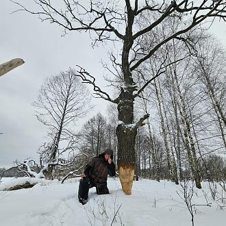 Нажмите на изображение для увеличения.

Название:	20240113_111238.jpg
Просмотров:	11849
Размер:	657.9 Кб
ID:	4490386