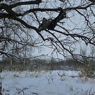 Нажмите на изображение для увеличения.

Название:	20240114_135101.jpg
Просмотров:	8619
Размер:	653.5 Кб
ID:	4490398