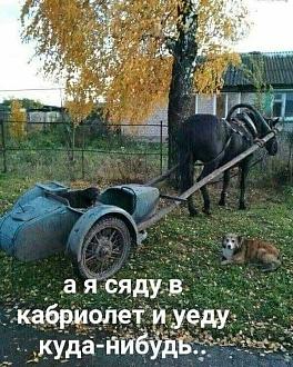 Нажмите на изображение для увеличения.

Название:	419294238_3506521856277940_2789843900804595952_n.jpg
Просмотров:	1443
Размер:	155.3 Кб
ID:	4490842