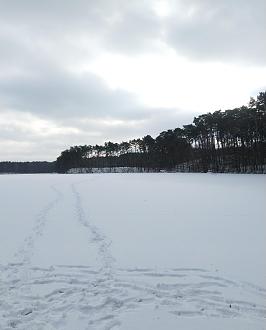 Нажмите на изображение для увеличения.

Название:	IMG_20240120_124501~2.jpg
Просмотров:	5945
Размер:	210.1 Кб
ID:	4490989