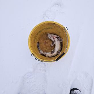 Нажмите на изображение для увеличения.

Название:	20240123_093142.jpg
Просмотров:	3535
Размер:	310.6 Кб
ID:	4491056