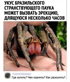 Нажмите на изображение для увеличения.

Название:	IMG_20240126_133735_194.jpg
Просмотров:	2136
Размер:	68.6 Кб
ID:	4491294