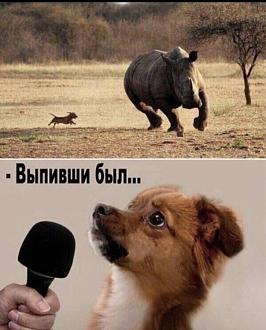 Нажмите на изображение для увеличения.

Название:	1707648382_ksmzisel5ny.jpg
Просмотров:	1767
Размер:	95.5 Кб
ID:	4492313