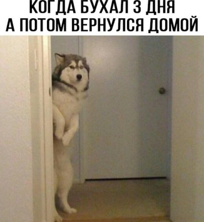 Нажмите на изображение для увеличения.

Название:	photoeditorsdk-export (1).png
Просмотров:	1578
Размер:	224.3 Кб
ID:	4492522