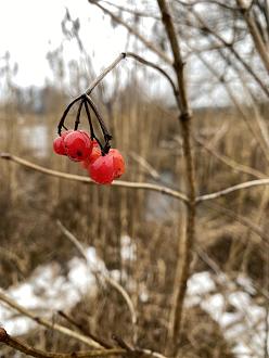 Нажмите на изображение для увеличения.  Название:	image_580880.jpg Просмотров:	4 Размер:	236.1 Кб ID:	4493991