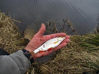 Нажмите на изображение для увеличения.

Название:	IMG_7878.JPG
Просмотров:	30661
Размер:	518.3 Кб
ID:	4495577