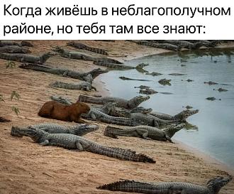 Нажмите на изображение для увеличения.  Название:	FB_IMG_1710153074366.jpg Просмотров:	0 Размер:	204.4 Кб ID:	4495739