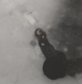 Нажмите на изображение для увеличения.

Название:	Screenshot_20240225_151033_Gallery.jpg
Просмотров:	6384
Размер:	86.8 Кб
ID:	4496019