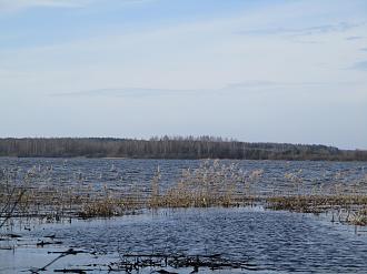 Нажмите на изображение для увеличения.

Название:	IMG_7923.JPG
Просмотров:	31881
Размер:	397.7 Кб
ID:	4496096
