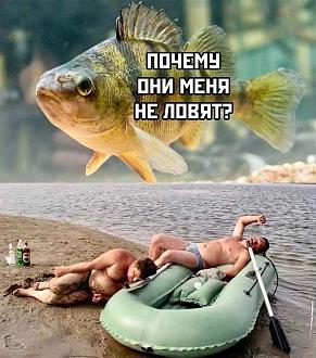 Нажмите на изображение для увеличения.  Название:	432120708_2119395191750924_5246878047555561609_n.jpg Просмотров:	71 Размер:	193.7 Кб ID:	4496168