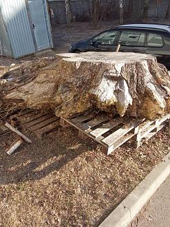 Нажмите на изображение для увеличения.

Название:	IMG_20240307_095113.jpg
Просмотров:	7628
Размер:	595.2 Кб
ID:	4496346