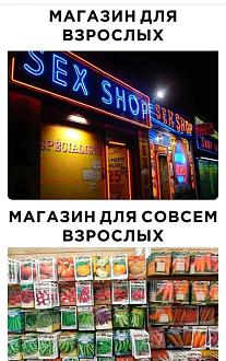 Нажмите на изображение для увеличения.

Название:	IMG-20240323-WA0010.jpg
Просмотров:	2265
Размер:	144.6 Кб
ID:	4496491