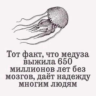 Нажмите на изображение для увеличения.

Название:	IMG-e704efb5921f85e2caf2c1dacef1b4c7-V.jpg
Просмотров:	2100
Размер:	59.3 Кб
ID:	4496834