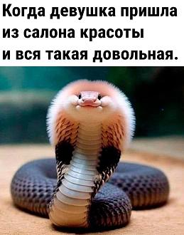 Нажмите на изображение для увеличения.

Название:	IMG_20240404_162928_831.jpg
Просмотров:	1508
Размер:	145.3 Кб
ID:	4497323