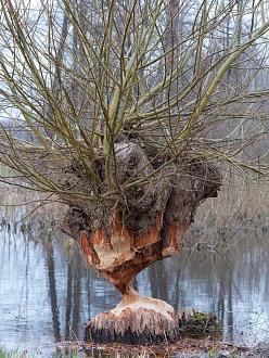 Нажмите на изображение для увеличения.

Название:	image_581108.jpg
Просмотров:	170
Размер:	420.2 Кб
ID:	4497967
