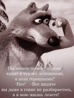Нажмите на изображение для увеличения.

Название:	FB_IMG_1713523802768.jpg
Просмотров:	1706
Размер:	51.0 Кб
ID:	4498395