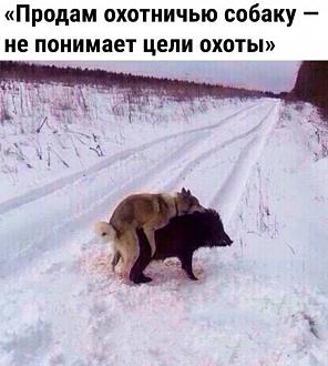 Нажмите на изображение для увеличения.

Название:	IMG_20240419_200534_432.jpg
Просмотров:	1642
Размер:	79.3 Кб
ID:	4498398