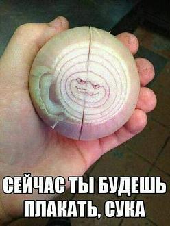 Нажмите на изображение для увеличения.

Название:	image_582337.jpg
Просмотров:	1608
Размер:	53.7 Кб
ID:	4498462