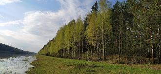 Нажмите на изображение для увеличения.

Название:	IMG_20240428_073920.jpg
Просмотров:	14164
Размер:	524.7 Кб
ID:	4498987