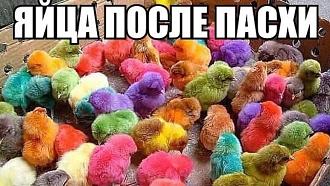 Нажмите на изображение для увеличения.

Название:	438159686_289182204247940_8673549999018684300_n.jpg
Просмотров:	4122
Размер:	142.9 Кб
ID:	4499597