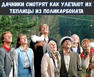 Нажмите на изображение для увеличения.

Название:	441296704_1579614176155205_8086776105277693766_n.jpg
Просмотров:	2633
Размер:	119.2 Кб
ID:	4500050