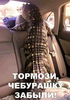 Нажмите на изображение для увеличения.

Название:	426103769_422413374071915_8058157766937263222_n.jpg
Просмотров:	3242
Размер:	75.8 Кб
ID:	4500451