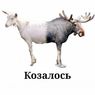 Нажмите на изображение для увеличения.

Название:	436483496_1138427980695445_1024026087433591791_n.jpg
Просмотров:	3366
Размер:	30.6 Кб
ID:	4500696