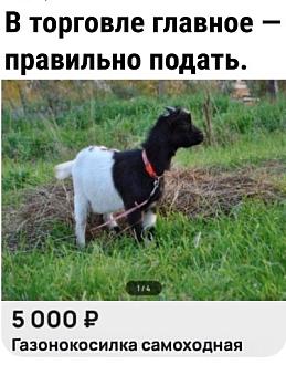 Нажмите на изображение для увеличения.

Название:	IMG-f884995ff47929498c53bc139c9184cf-V.jpg
Просмотров:	1936
Размер:	62.4 Кб
ID:	4501386