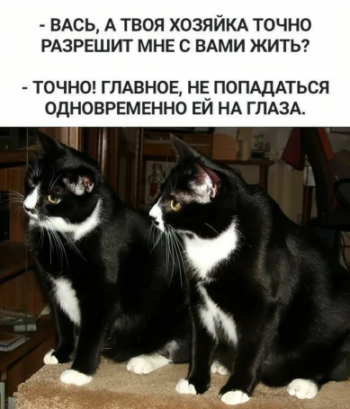 Нажмите на изображение для увеличения.

Название:	photoeditorsdk-export (3).png
Просмотров:	2567
Размер:	236.9 Кб
ID:	4501910